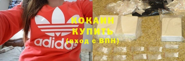 mix Богородицк