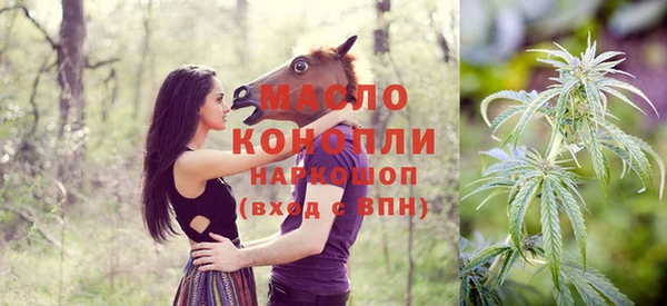 mix Богородицк