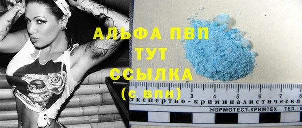 бошки Богданович