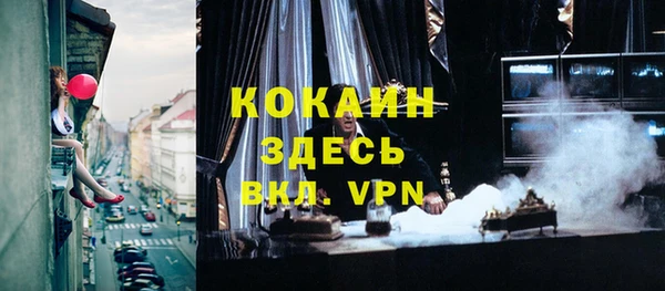 mix Богородицк